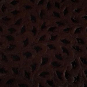 Meet your Posher, Paul